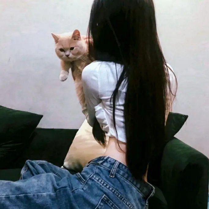 厢上娇婿